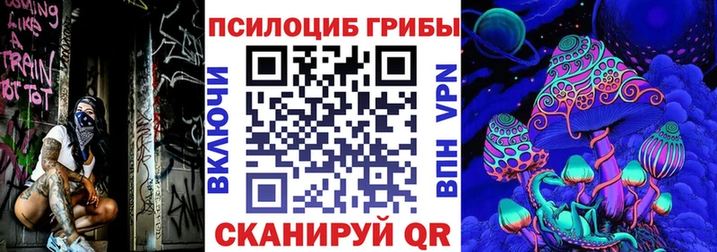 Псилоцибиновые грибы ЛСД  ОМГ ОМГ онион  Большой Камень 