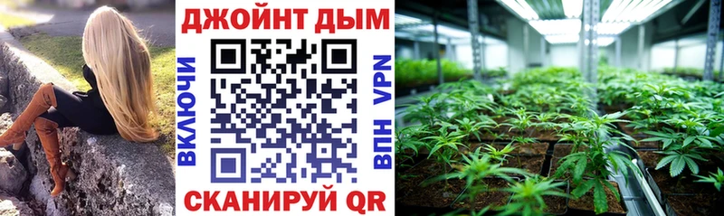Бошки марихуана SATIVA & INDICA как найти Большой Камень